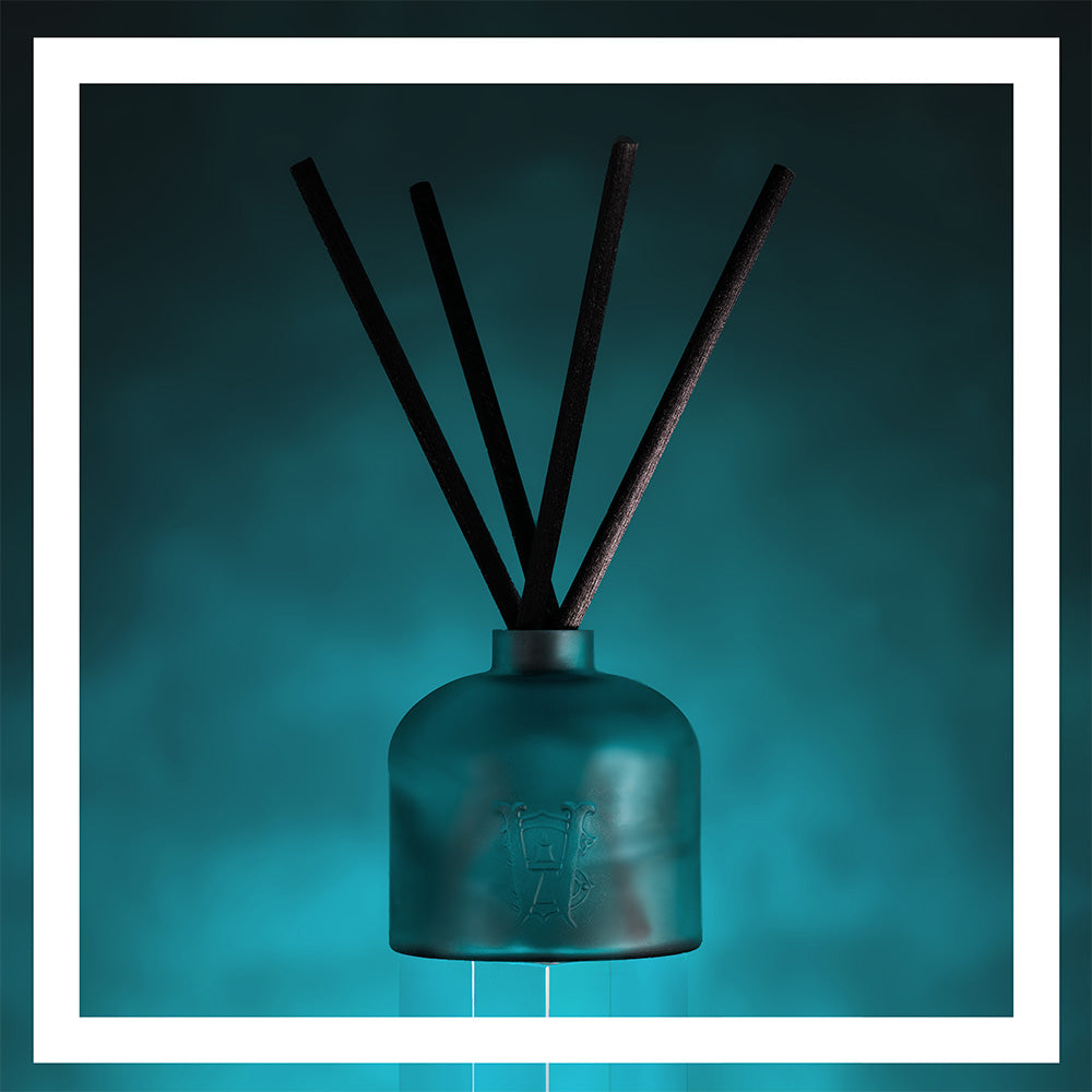 Shop Reeds Diffusers at Saltworks | Saltworks